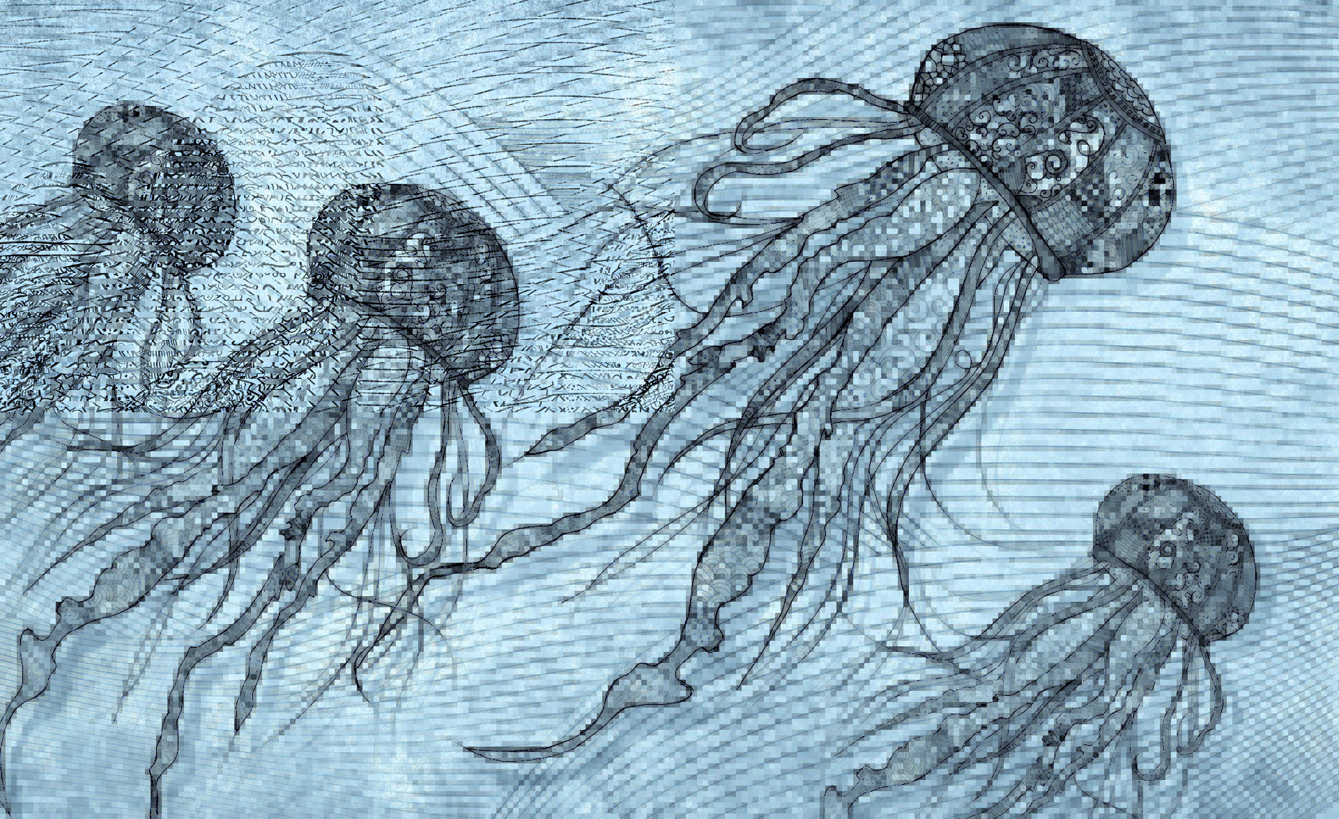  Обои Skinwall Contemporary Collection