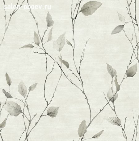 Обои KT Exclusive  Sage II