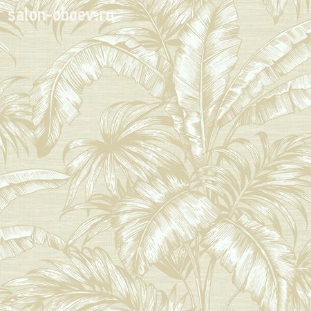 Обои KT Exclusive  Sage II