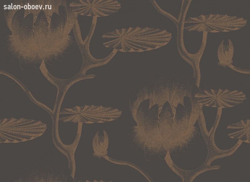 Обои Cole & Son Contemporary Restyled