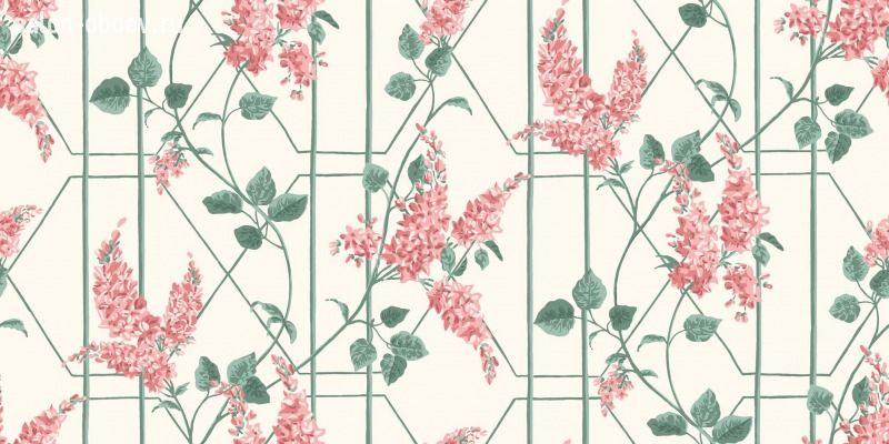 Обои Cole & Son Botanical Botanica
