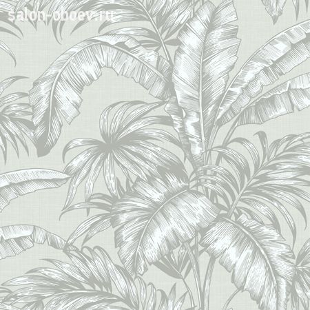 Обои KT Exclusive  Sage II