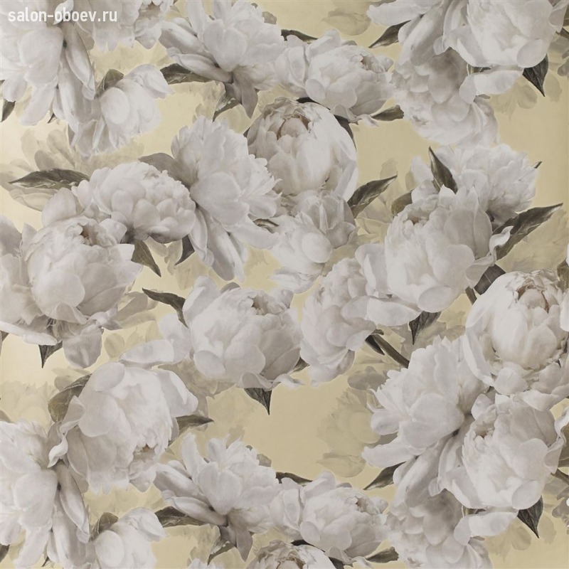 Обои Designers Guild Foscari Fresco with paint Litho