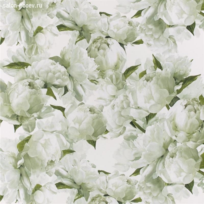 Обои Designers Guild Foscari Fresco with paint Litho