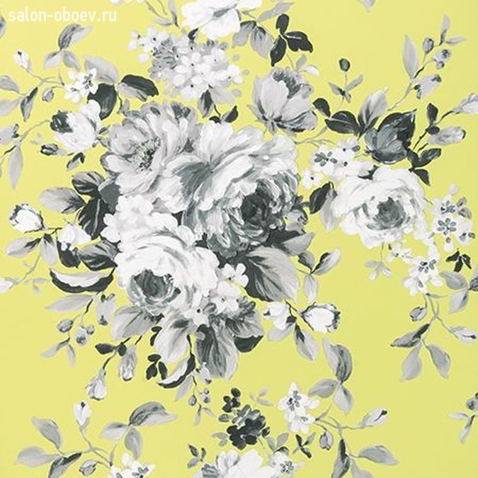 Обои Clarke & Clarke Colony