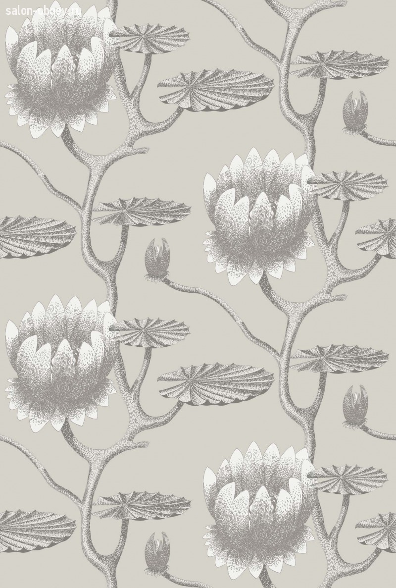 Обои Cole & Son Contemporary Restyled