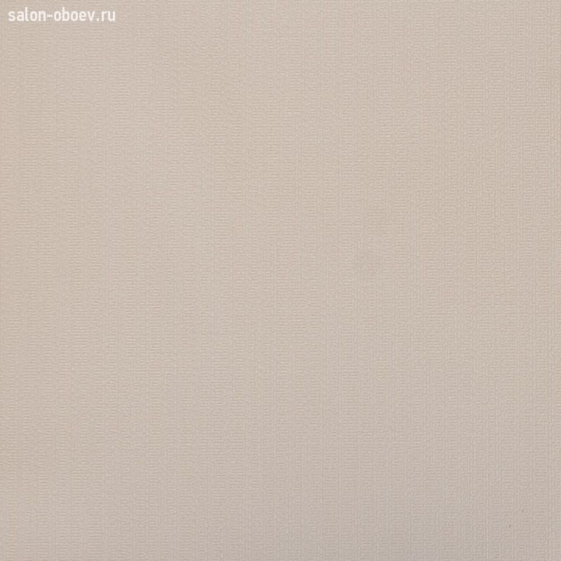 Обои Alessandro Allori Provasi