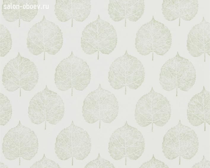 Обои Sanderson The Potting Room Wallpaper