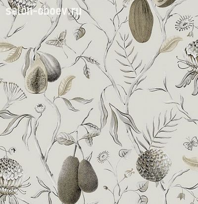 Обои Khroma Cabinet of curiosities