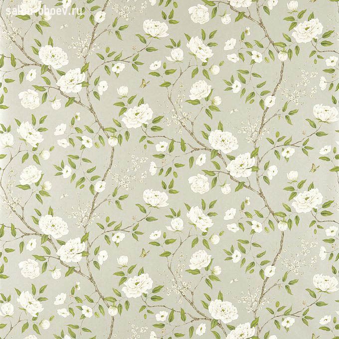 Обои Zoffany Woodville Papers