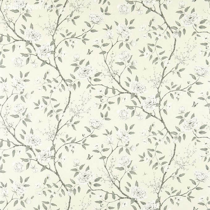 Обои Zoffany Woodville Papers