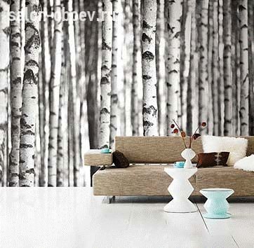 Обои KT Exclusive  Sage II