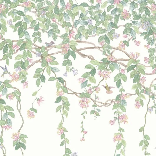 Обои Cole & Son Selection of Hummingbirds Обои Cole & Son Selection of Hummingbirds