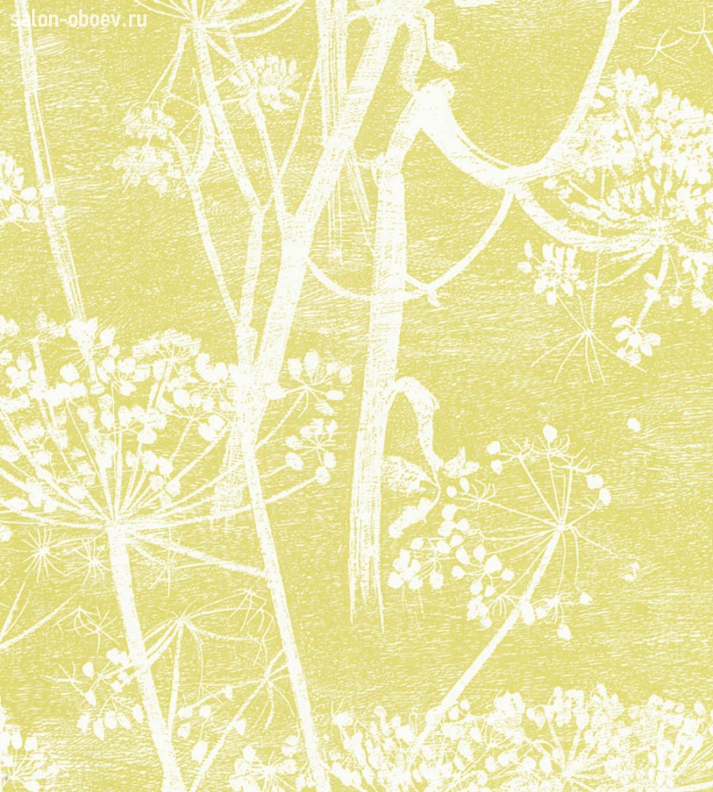 Обои Cole & Son The Contemporary Collection