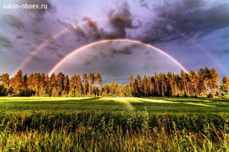Фрески/Панно PINEGIN Небо