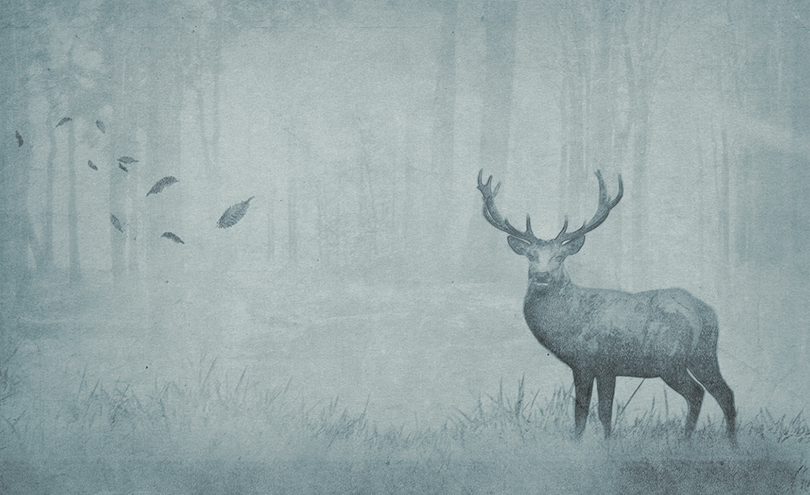  Обои Skinwall Contemporary Collection