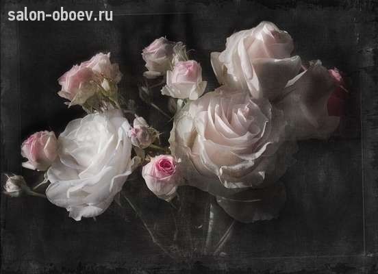Обои KOMAR KOMAR Фотообои