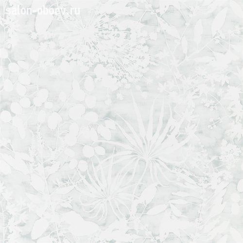 Обои Harlequin ANTHOZOA