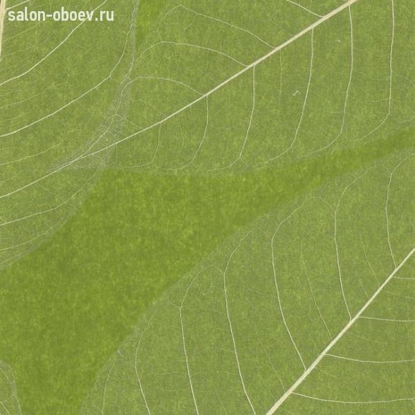 Обои Ronald Redding Designer Resource Grasscloth