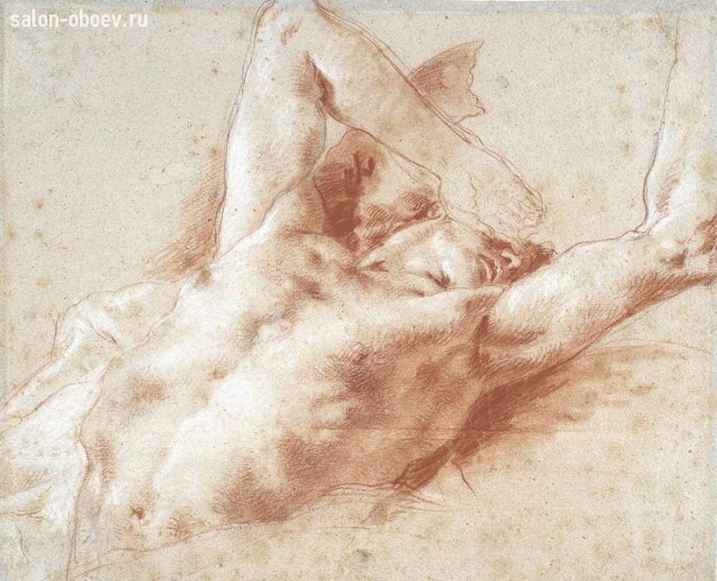 Фрески/Панно Affresco Графика и Карты
