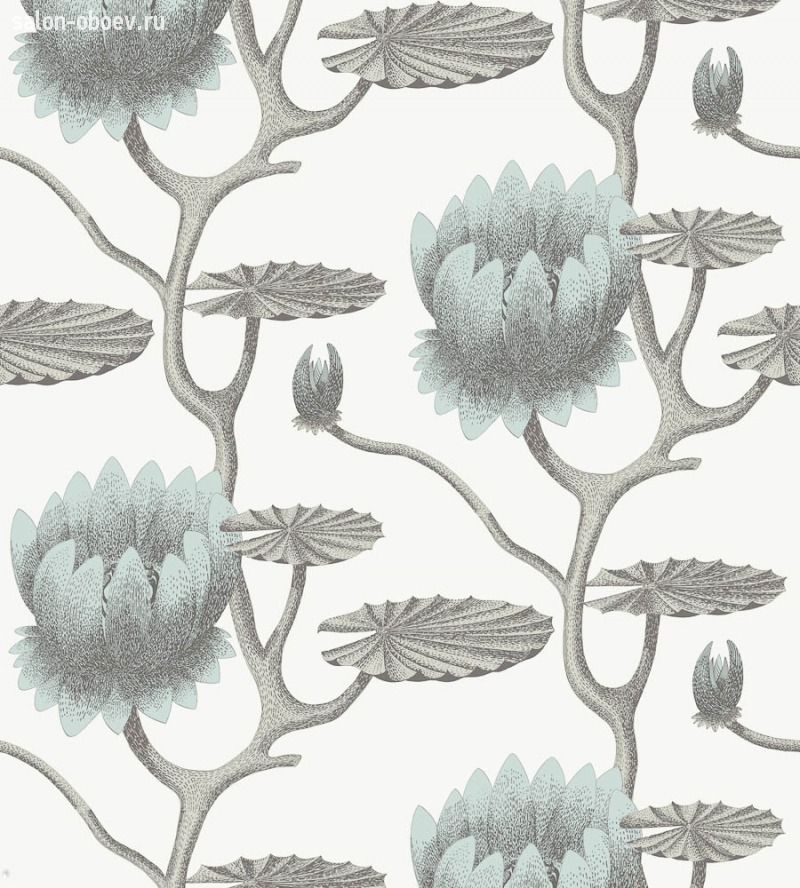 Обои Cole & Son The Contemporary Collection