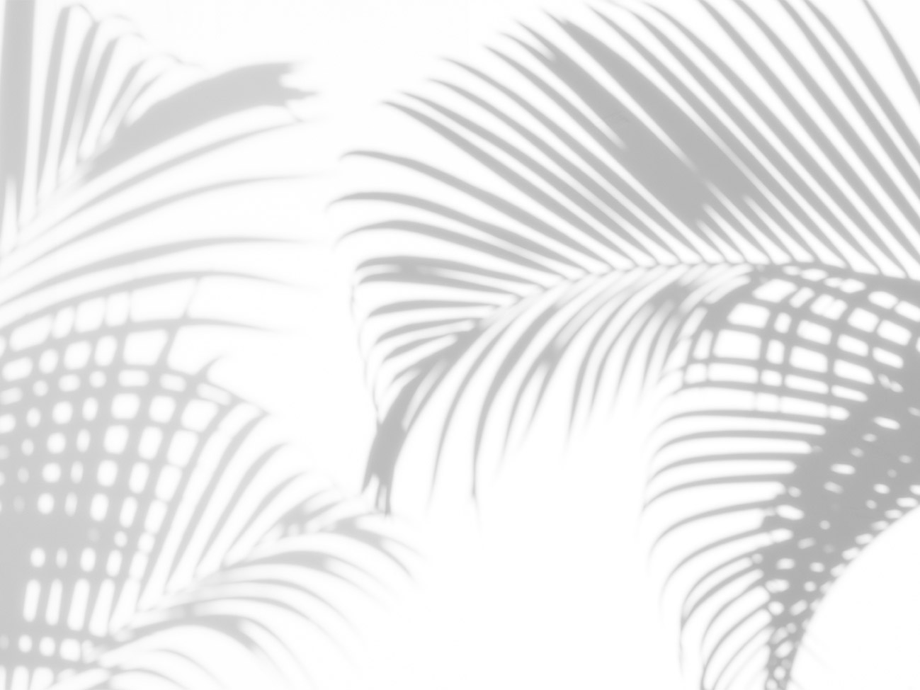 Фотообои Wall Street VETVE 22