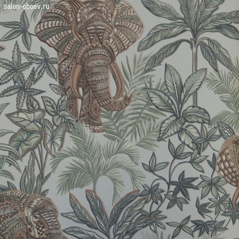 Обои Alessandro Allori Provasi