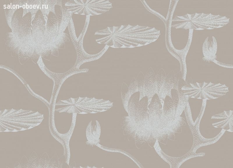 Обои Cole & Son Contemporary Selection