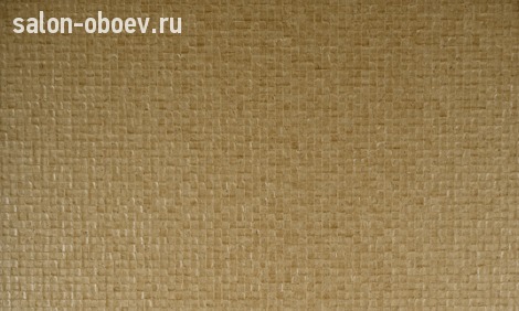 Обои Arte Monsoon
