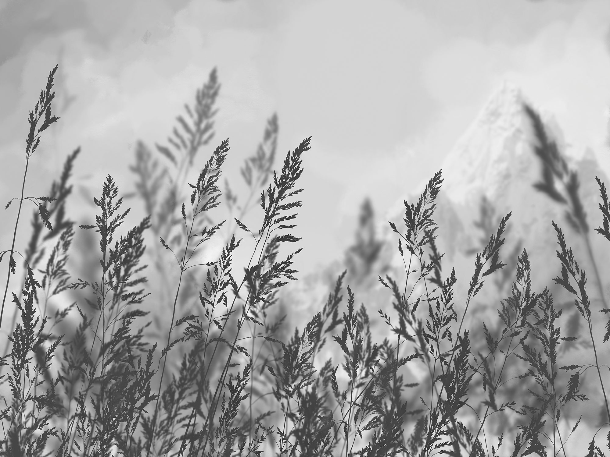 Фрески/Панно ORTOGRAF Vento