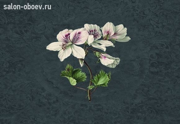 Обои KT Exclusive  Vanilla Lime