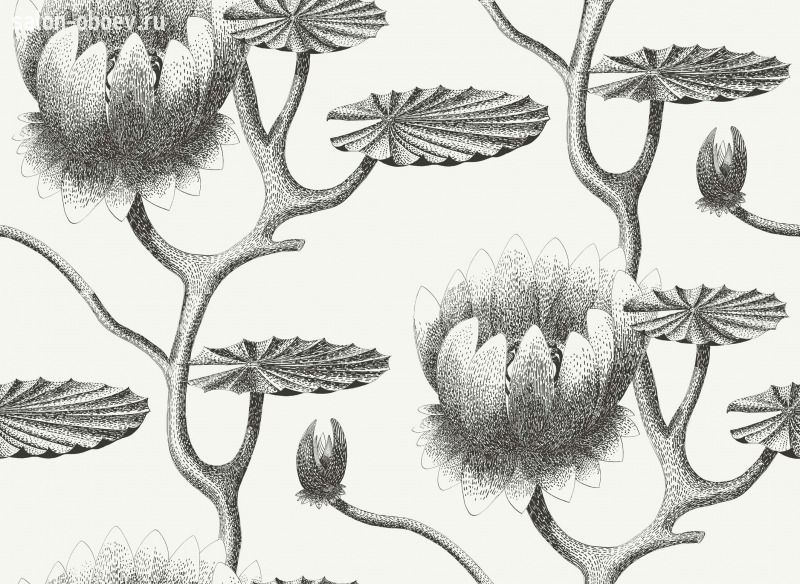Обои Cole & Son Contemporary Restyled