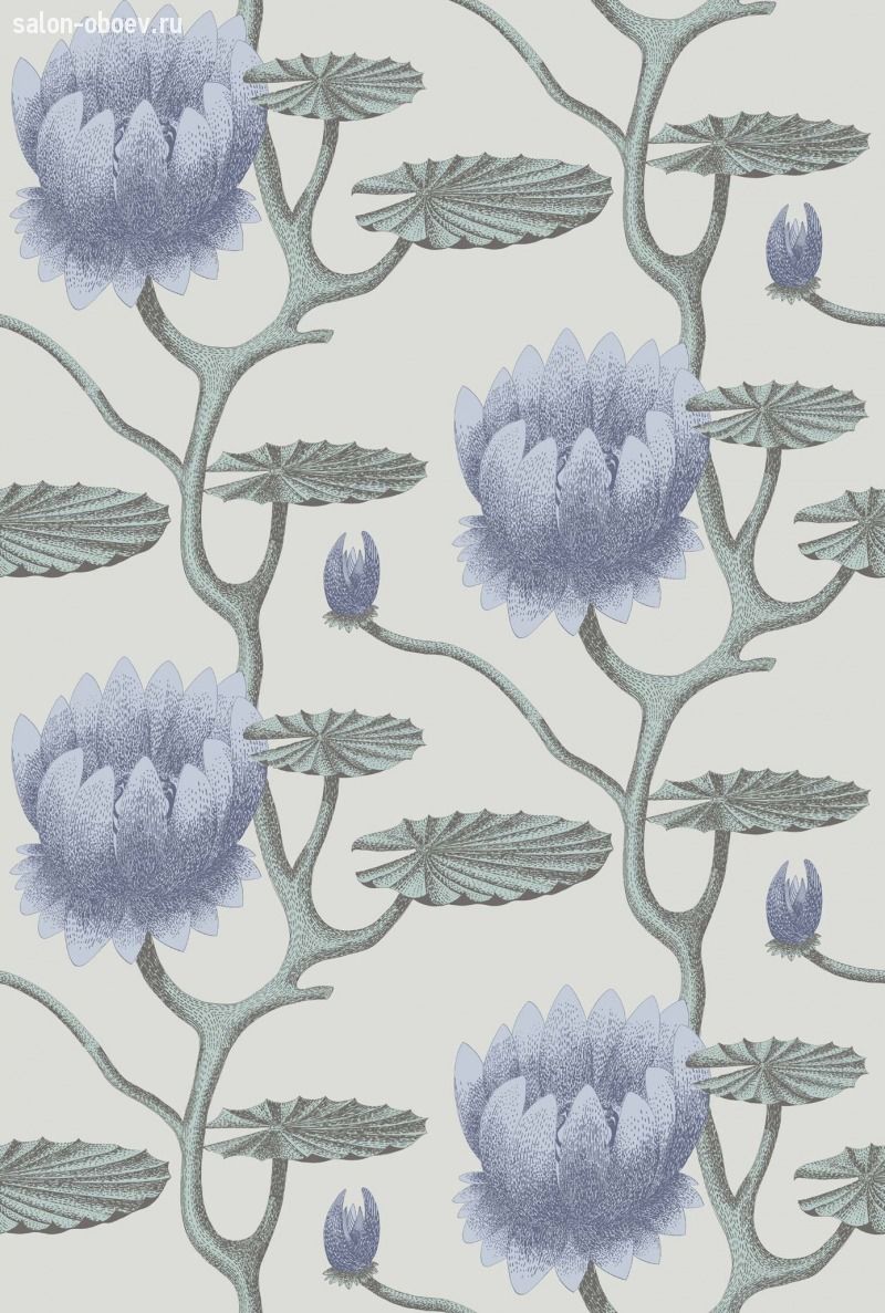 Обои Cole & Son Contemporary Restyled