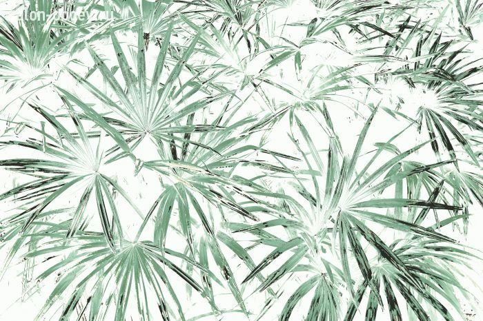 Фрески/Панно PINEGIN Лес и деревья