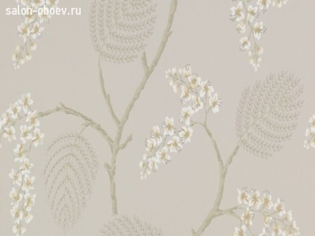 Обои Colefax and Fowler Celestine
