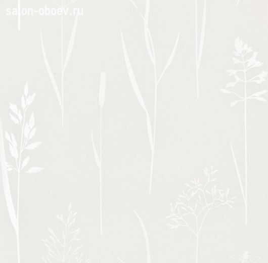 Обои Sandudd June