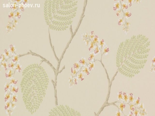 Обои Colefax and Fowler Celestine