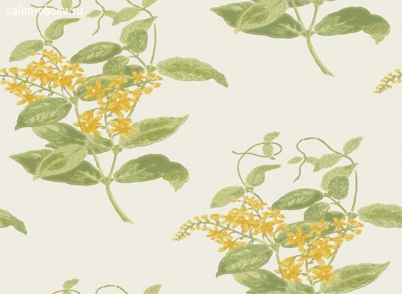 Обои Cole & Son Archive Anthology
