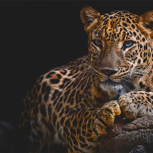 Фотообои Мне обои