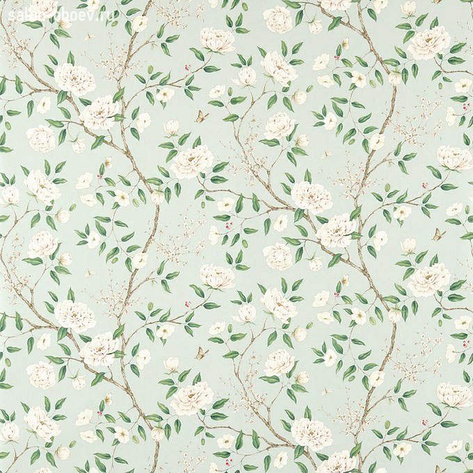 Обои Zoffany Woodville Papers