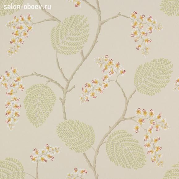 Обои Colefax and Fowler Jardine Florals