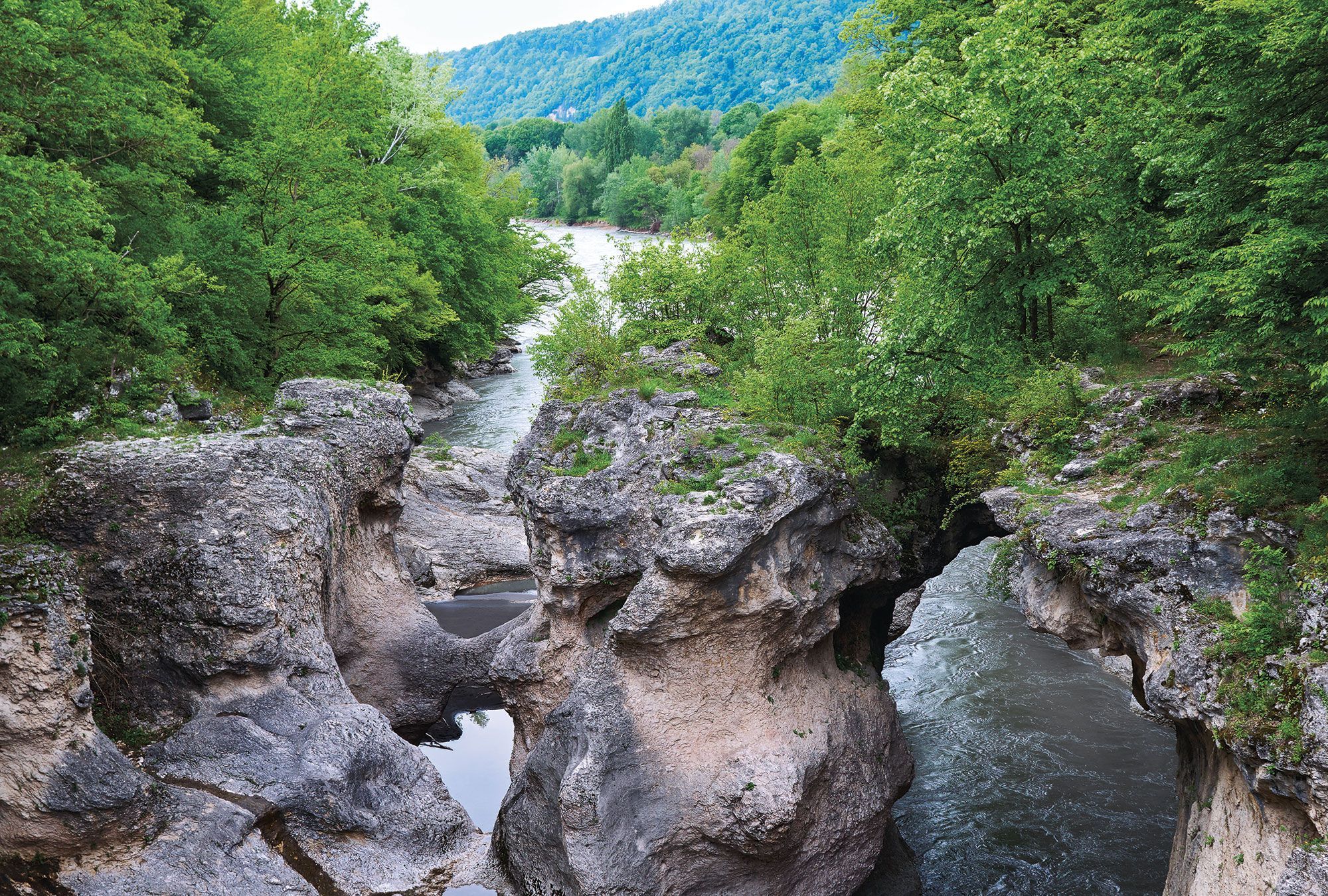 Фрески/Панно ORTOGRAF