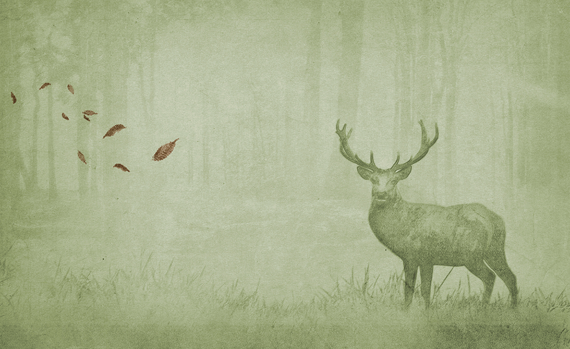  Обои Skinwall Contemporary Collection