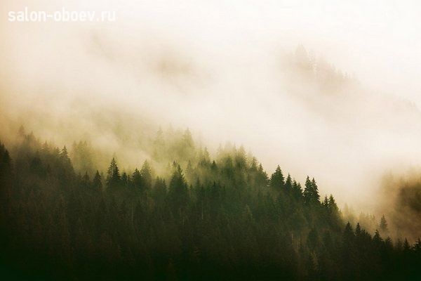 Обои Coordonne Random Papers