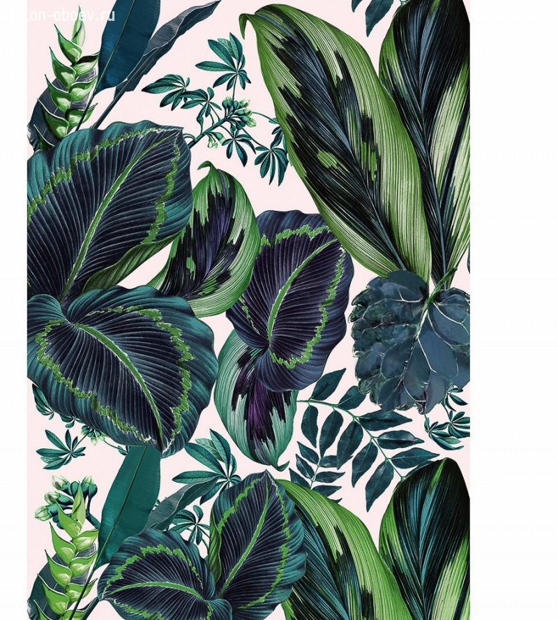 Обои Caselio Jungle