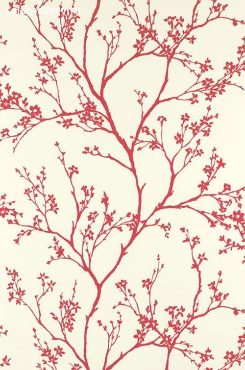 Обои Schumacher Modern Nature