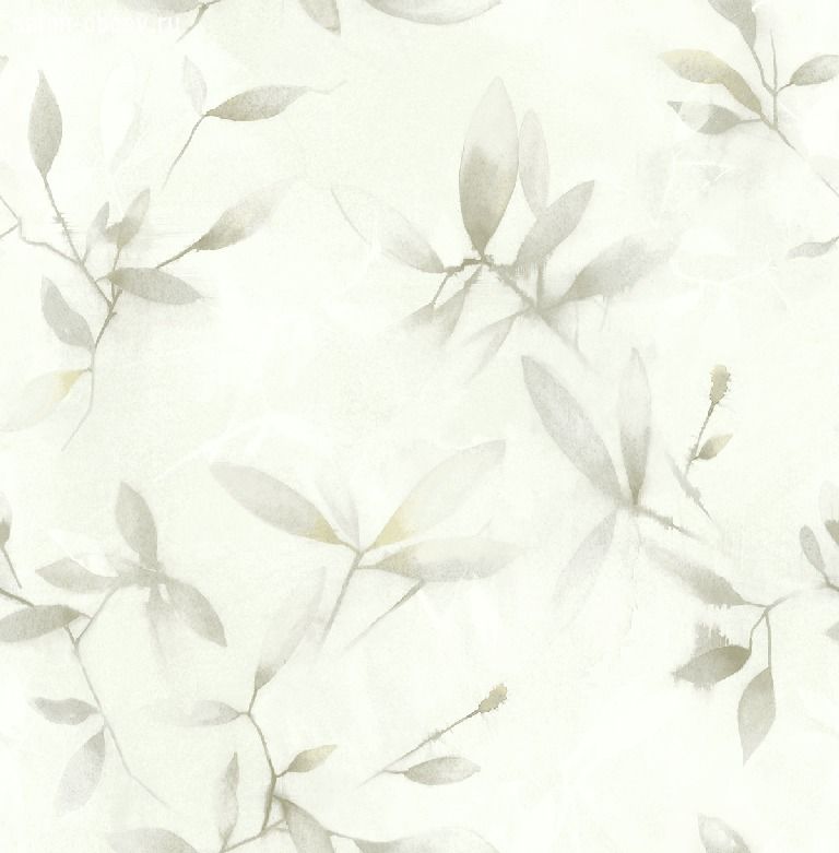 Обои Wallquest Jasmine