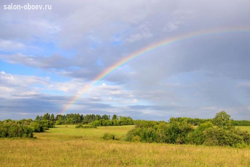 Фрески/Панно PINEGIN Небо