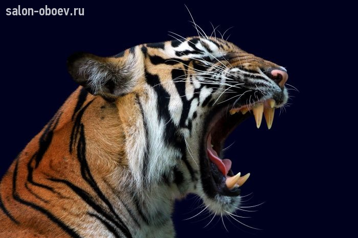 Фрески/Панно PINEGIN Животные