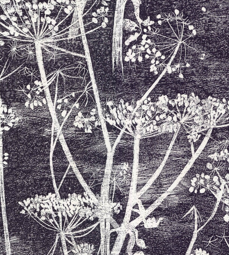 Обои Cole & Son The Contemporary Collection